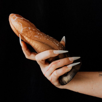 Dildo dragon MonsterD com Lubrificante